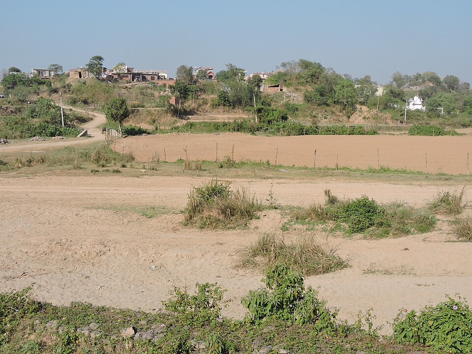 Mohali — local market for manufacturer and distributor portals
