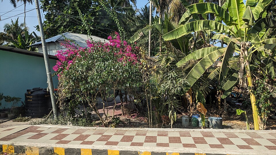 Swaraj Dweep (Havelock) — local market for manufacturer and distributor portals