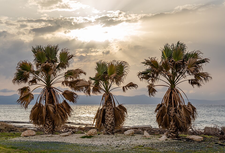 Paphos — local market for manufacturer and distributor portals