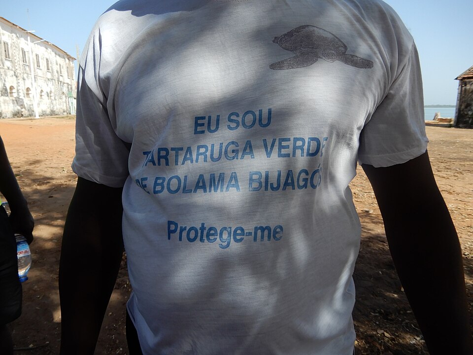 Bolama — international and multi-region stores for local businesses