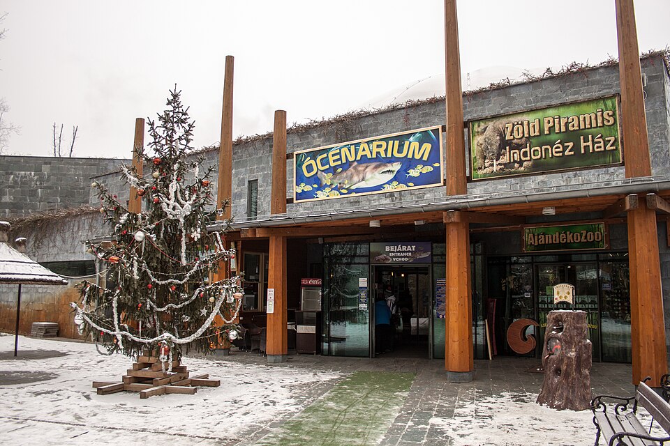 Nyíregyháza — multi-vendor marketplaces for local businesses