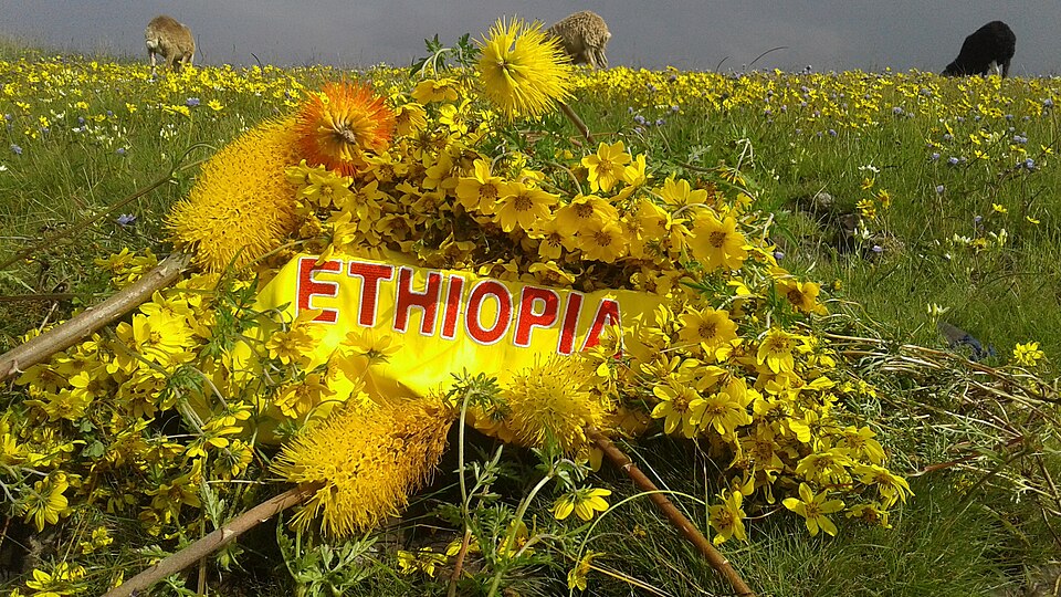 Ethiopia — subscription and membership platforms for local businesses