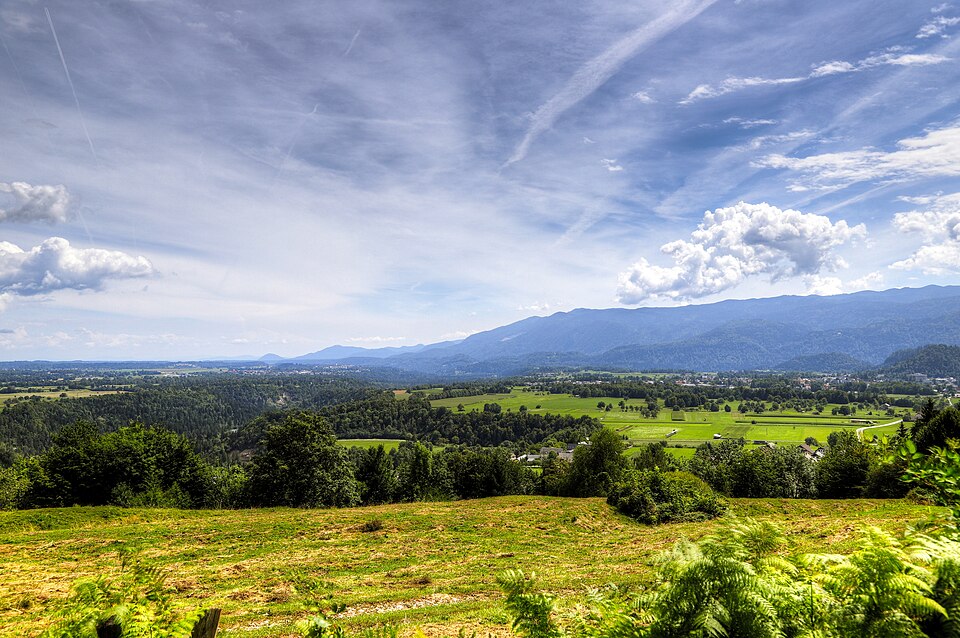 Slovenia — local market for B2B and wholesale portals