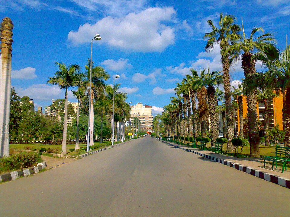 Mansoura — online stores for local businesses