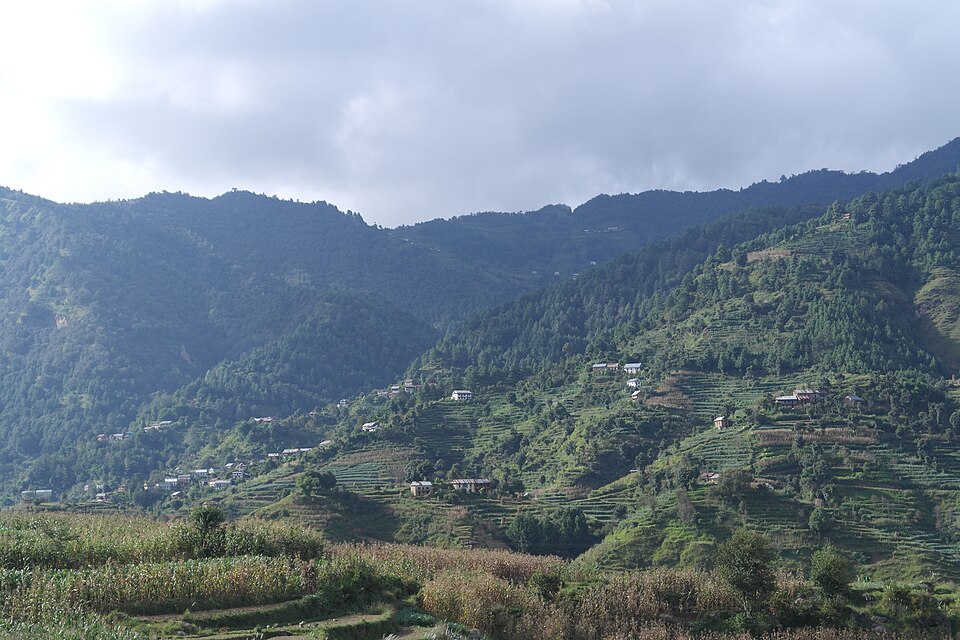 Nepal — custom e-commerce platforms for local businesses