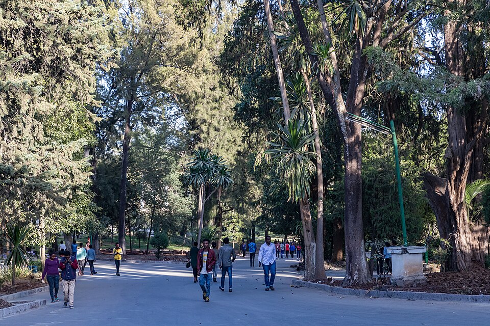Addis Ababa — local market for custom e-commerce platforms