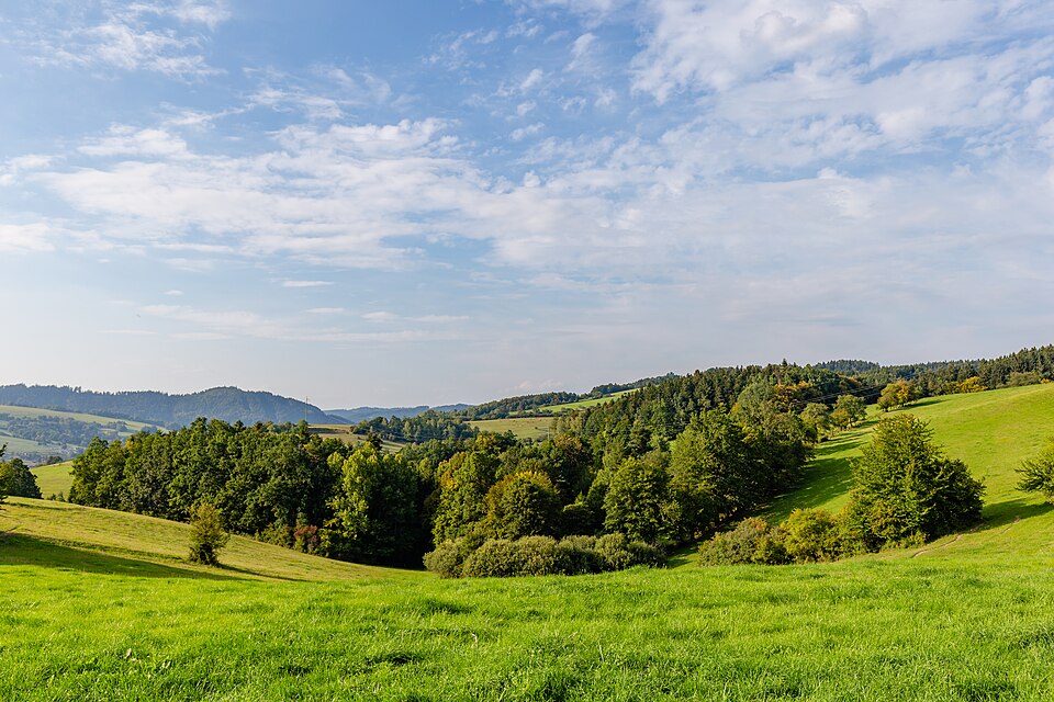 Czech Republic — local market for multi-vendor marketplaces