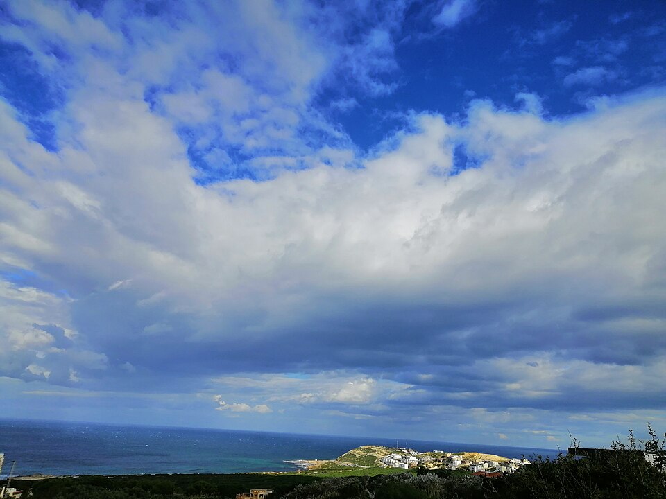 Bizerte — multi-vendor marketplaces for local businesses