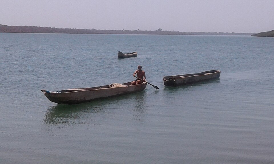 Bissau — local market for B2B and wholesale portals