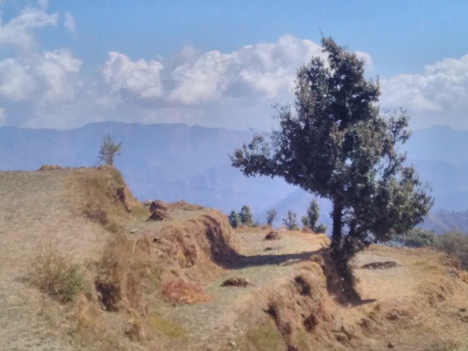 Almora — manufacturer and distributor portals for local businesses