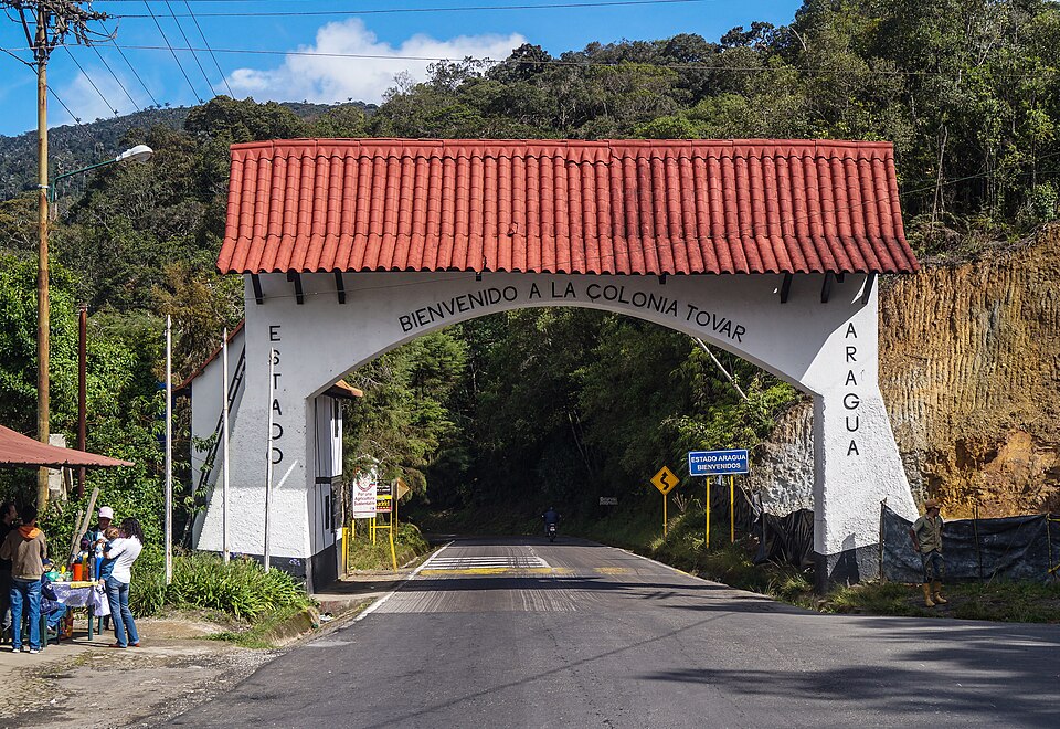 Colonia — local market for international and multi-region stores