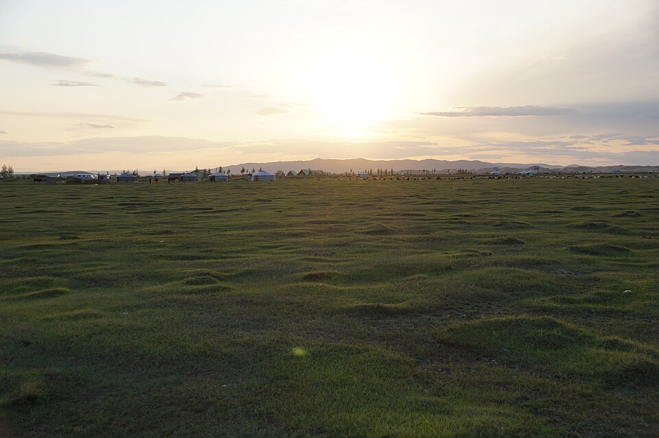Mongolia — subscription and membership platforms for local businesses