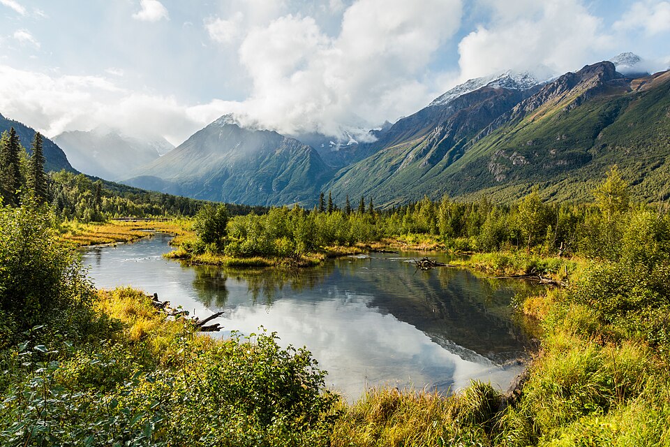 Anchorage — local market for manufacturer and distributor portals