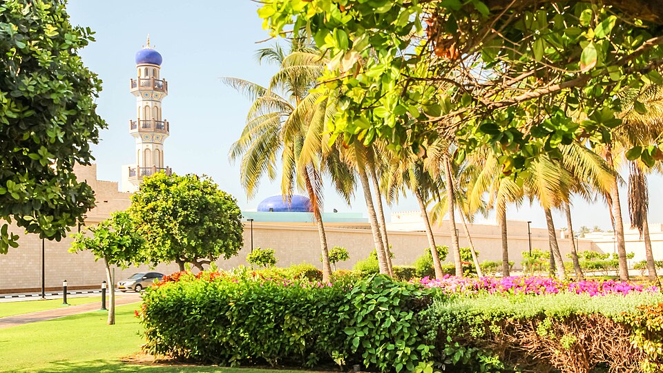 Salalah — local market for manufacturer and distributor portals