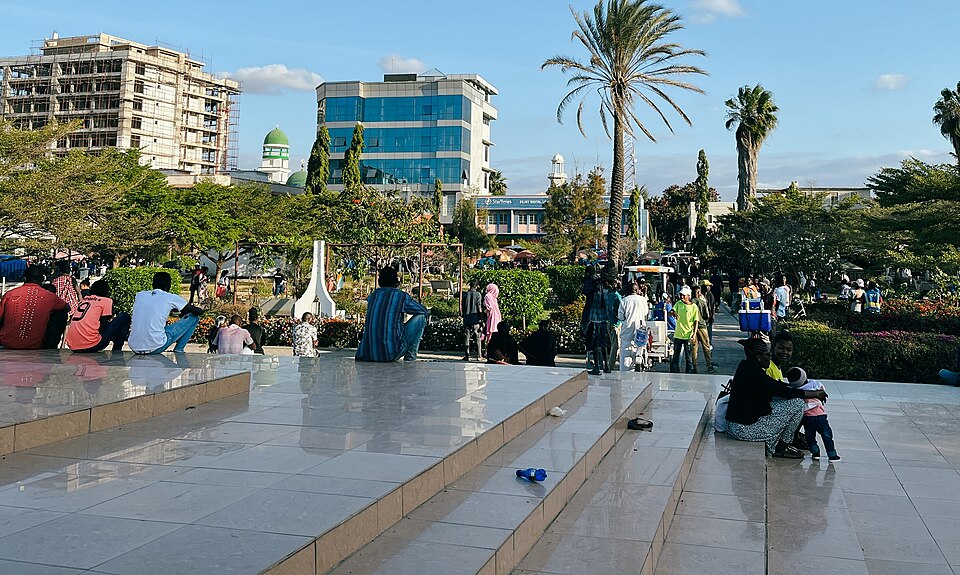 Dodoma — local market for mobile commerce apps