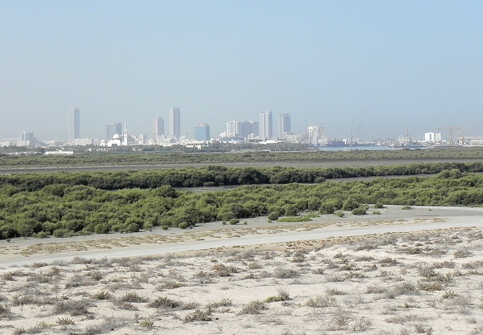 Umm Al Quwain — local market for online stores