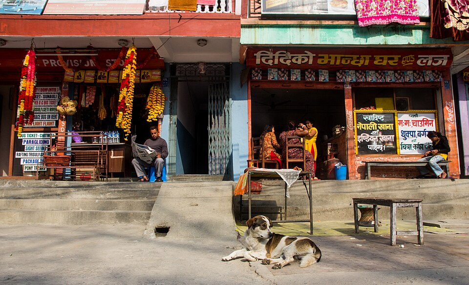 Lalitpur — service booking platforms for local businesses