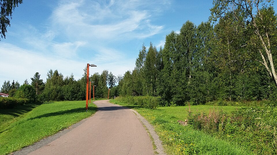 Jyväskylä — mobile commerce apps for local businesses