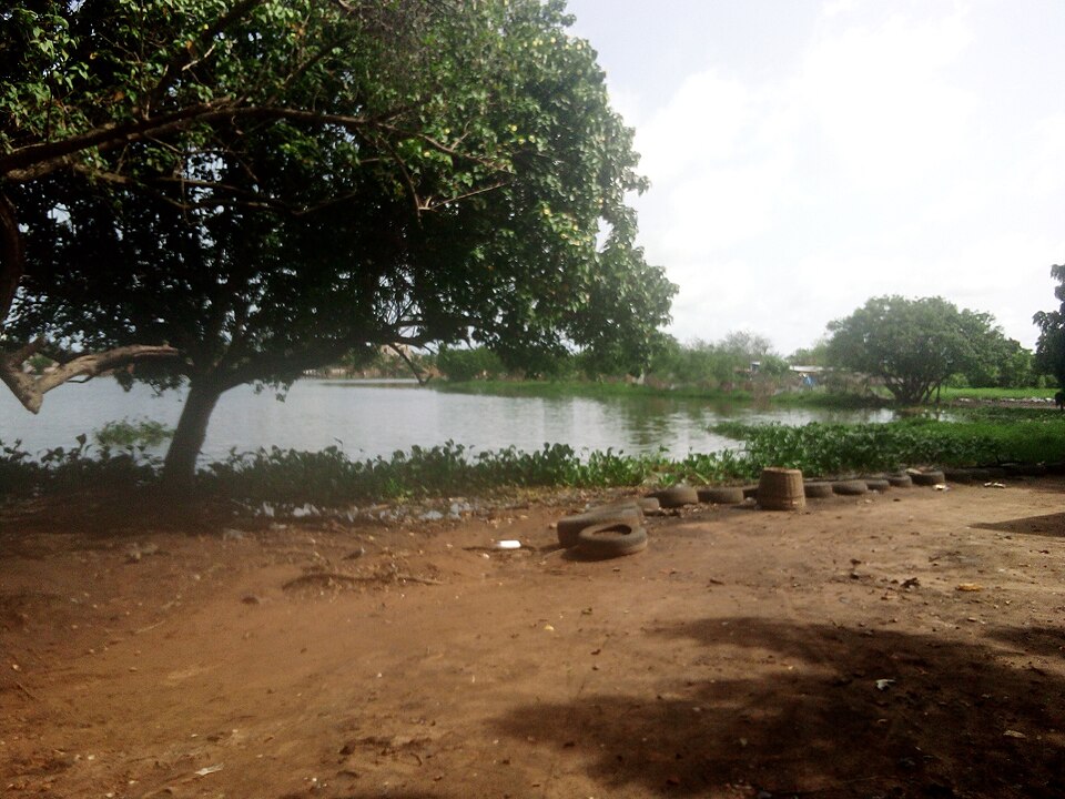 Togo — local market for manufacturer and distributor portals