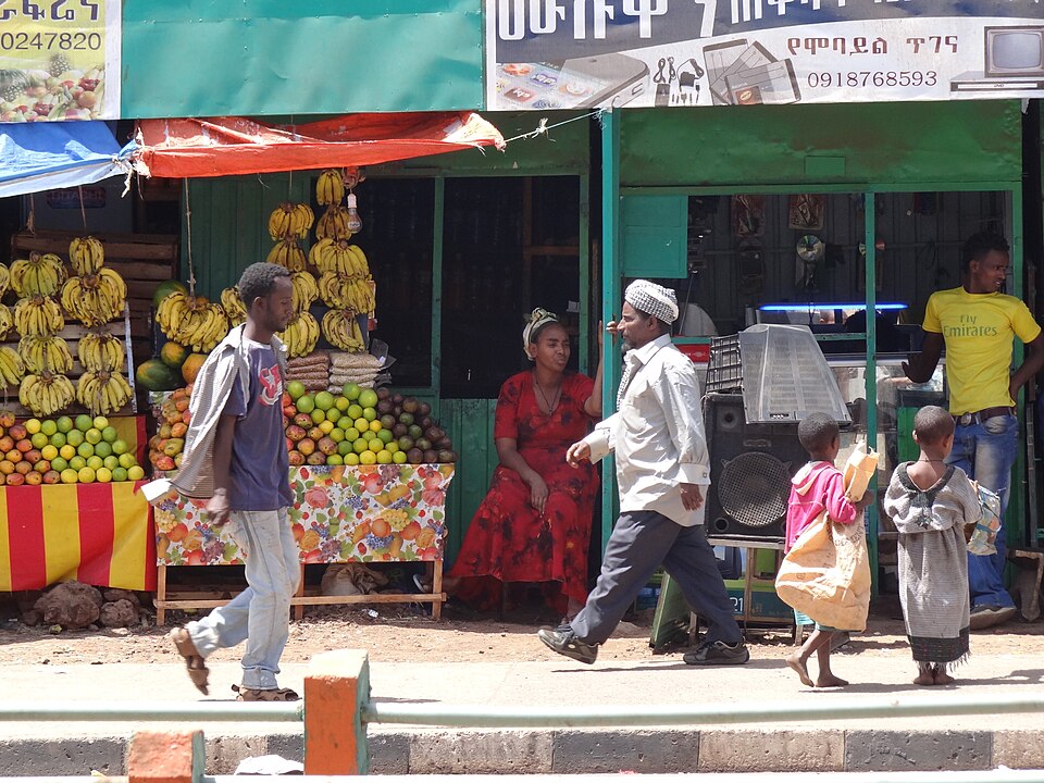 Bahir Dar — local market for subscription and membership platforms