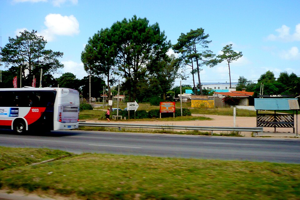 Ciudad de la Costa — local market for service booking platforms