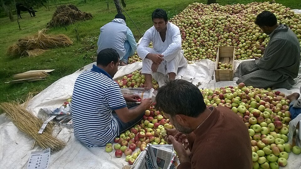 Ganderbal — local market for custom e-commerce platforms