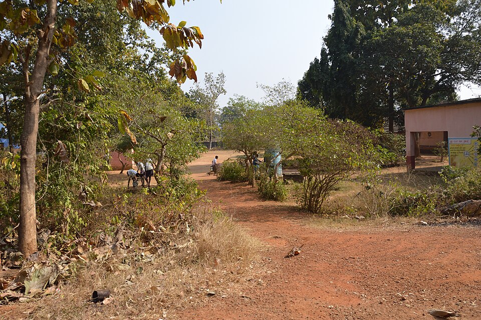 Dhenkanal — service booking platforms for local businesses