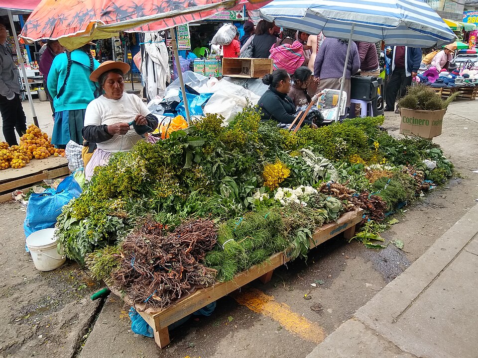 Huancayo — manufacturer and distributor portals for local businesses