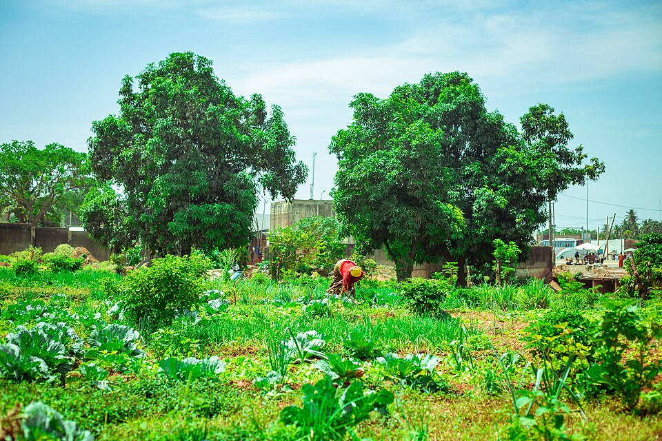 Bouaké — local market for B2B and wholesale portals