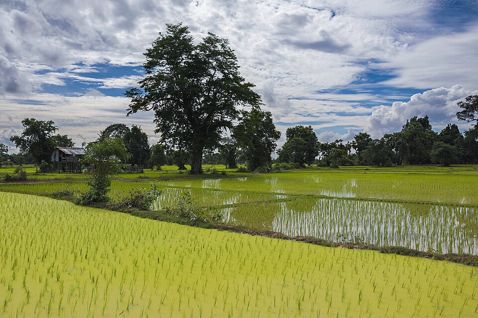 Laos — local market for custom e-commerce platforms
