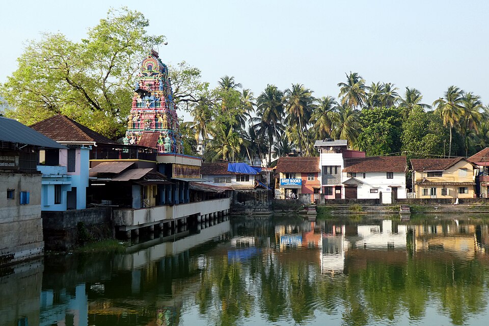 Kozhikode — international and multi-region stores for local businesses