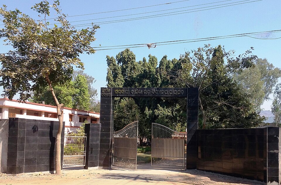 Rayagada — multi-vendor marketplaces for local businesses