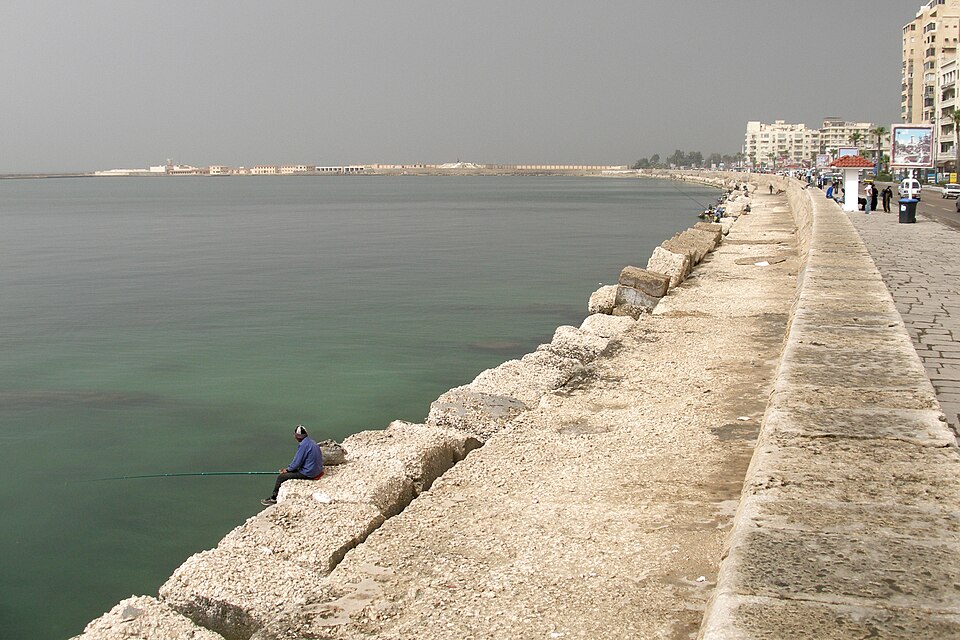 Alexandria — local market for service booking platforms