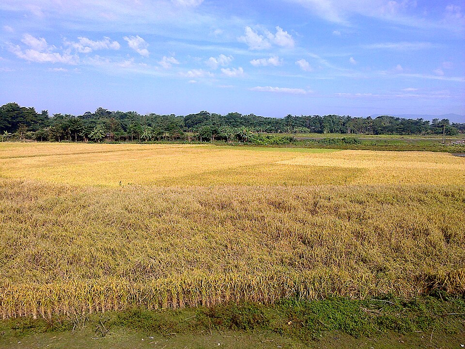 Karimganj — international and multi-region stores for local businesses