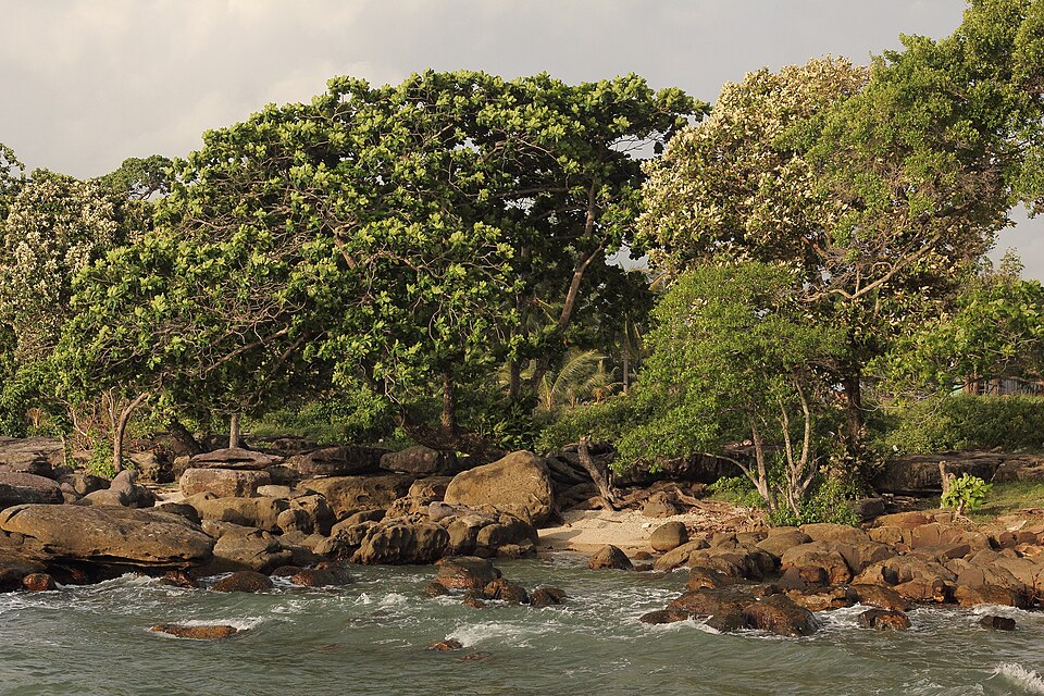 Sihanoukville — online stores for local businesses