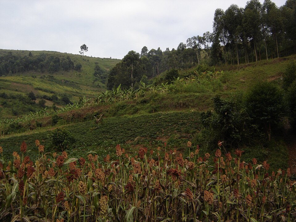 Uganda — manufacturer and distributor portals for local businesses