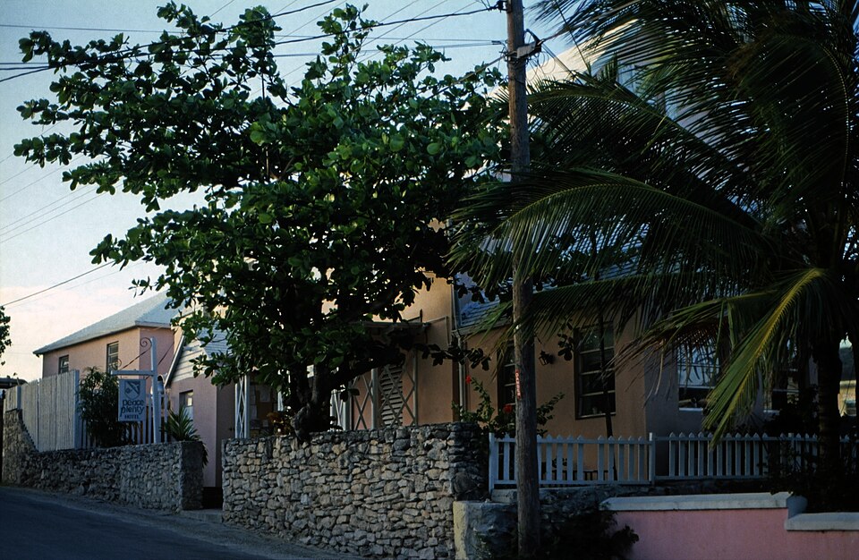 George Town — local market for multi-vendor marketplaces