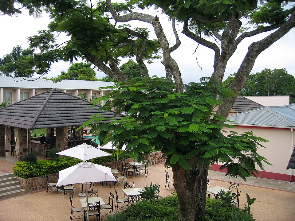 Manzini — local market for B2B and wholesale portals