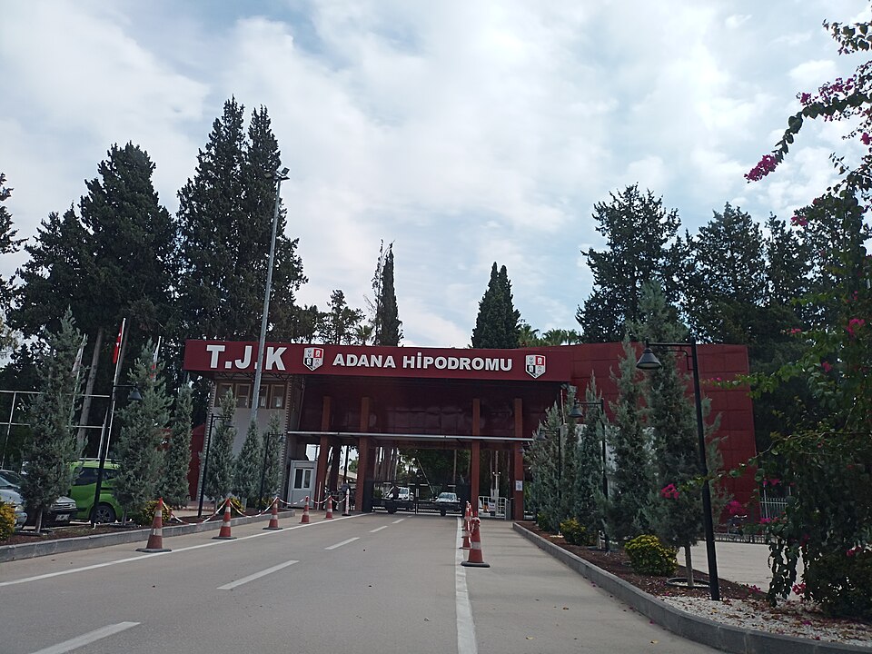 Adana — local market for custom e-commerce platforms