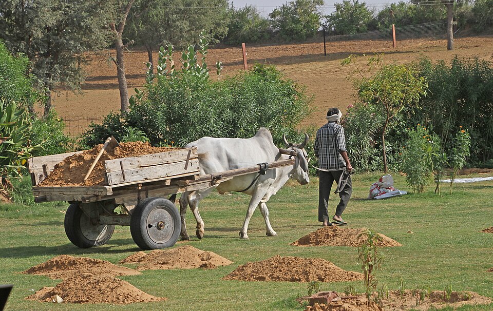 Bikaner — manufacturer and distributor portals for local businesses