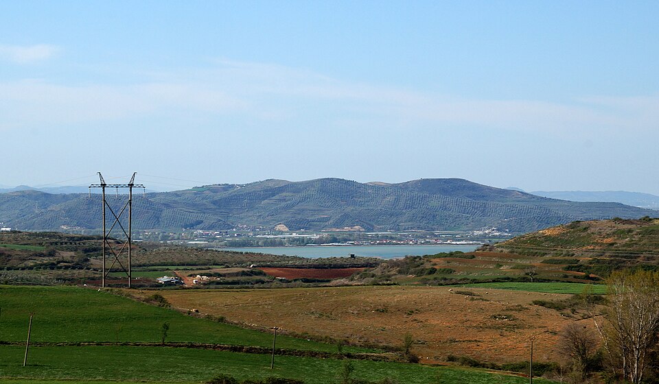 Albania — multi-vendor marketplaces for local businesses