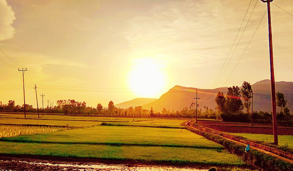 Sopore — local market for mobile commerce apps