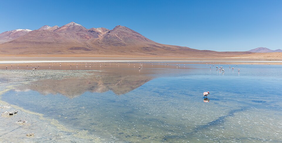 Bolivia — service booking platforms for local businesses
