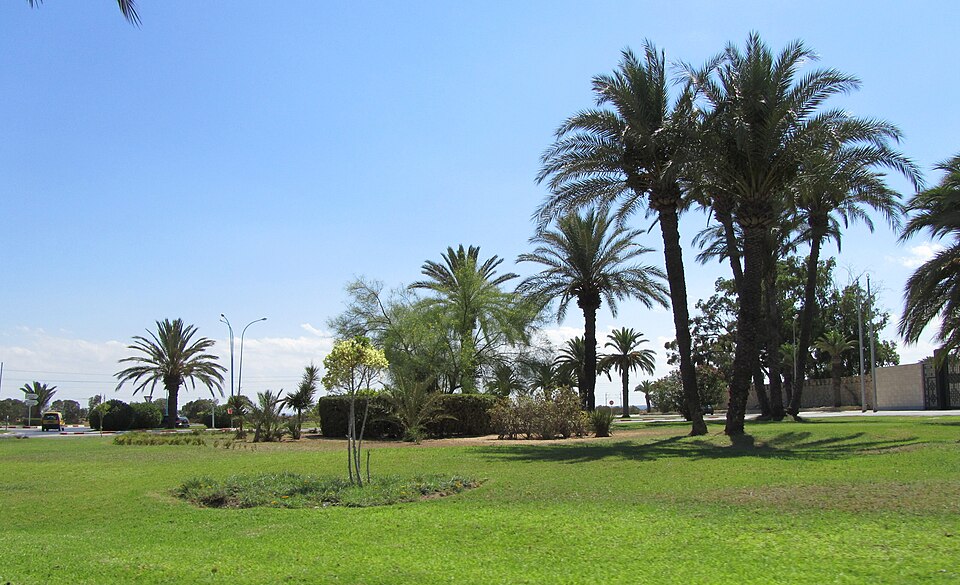Monastir — local market for service booking platforms