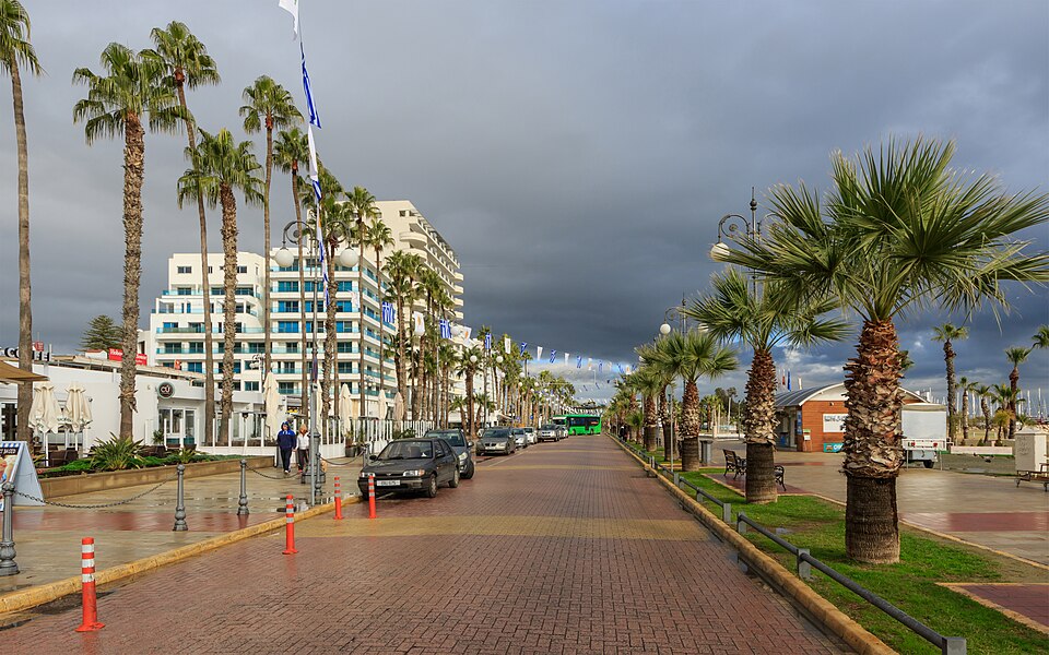 Larnaca — local market for subscription and membership platforms