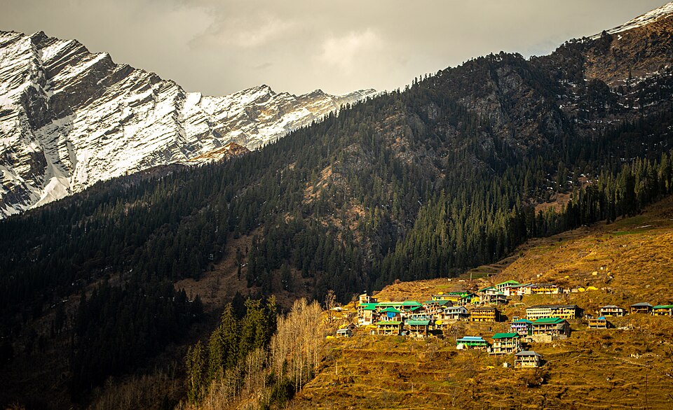 Manali — local market for multi-vendor marketplaces
