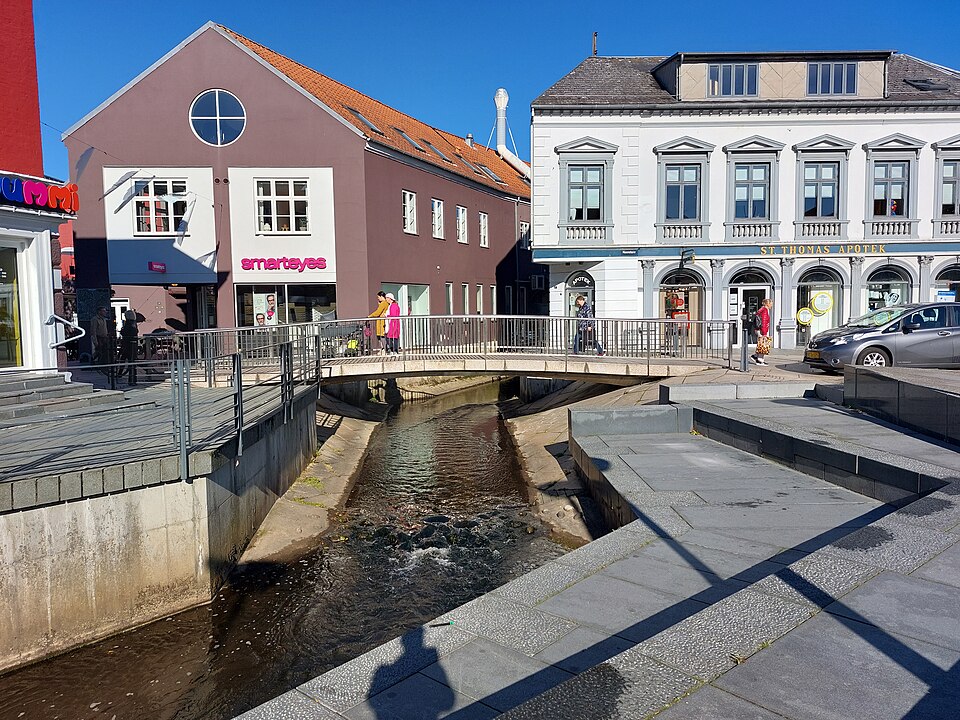 Vejle — custom e-commerce platforms for local businesses