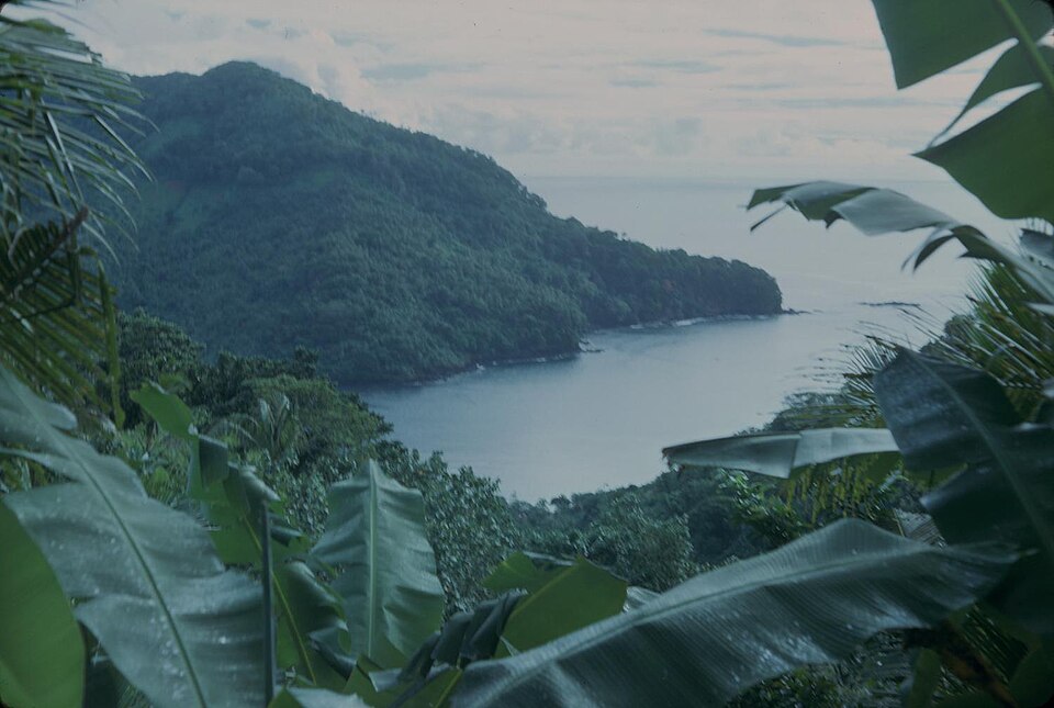 Samoa — manufacturer and distributor portals for local businesses
