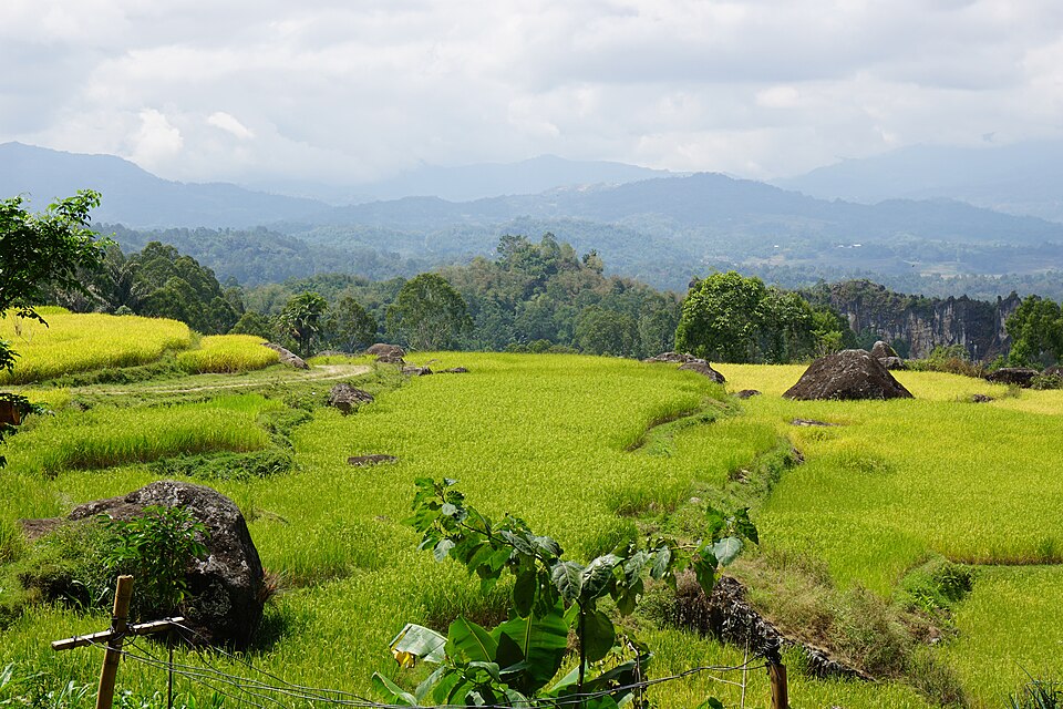 Indonesia — local market for online stores