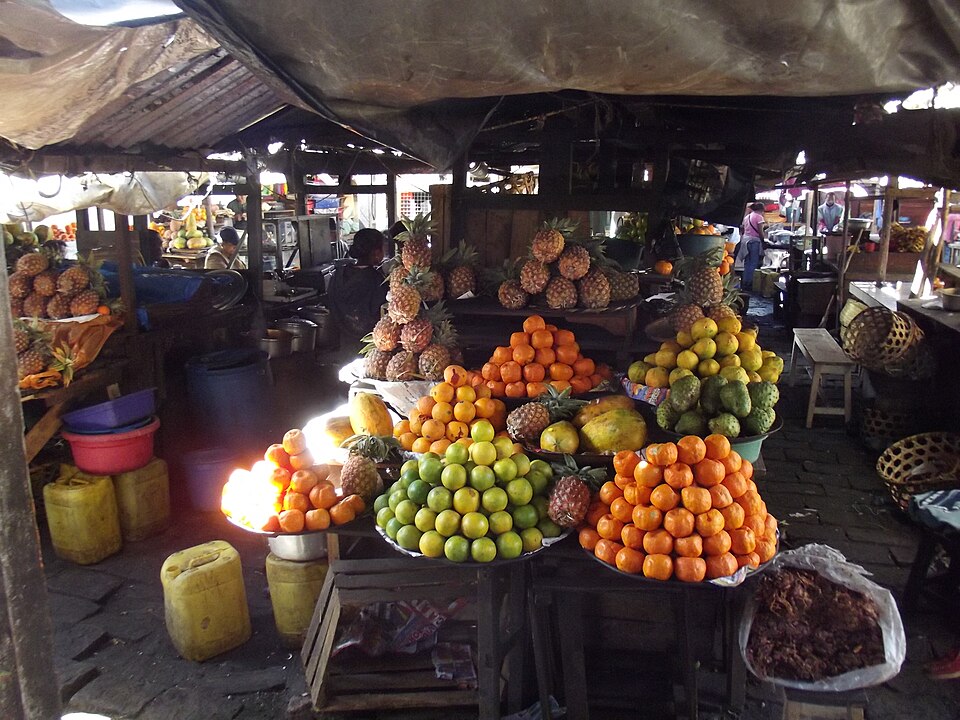 Antsirabe — local market for service booking platforms